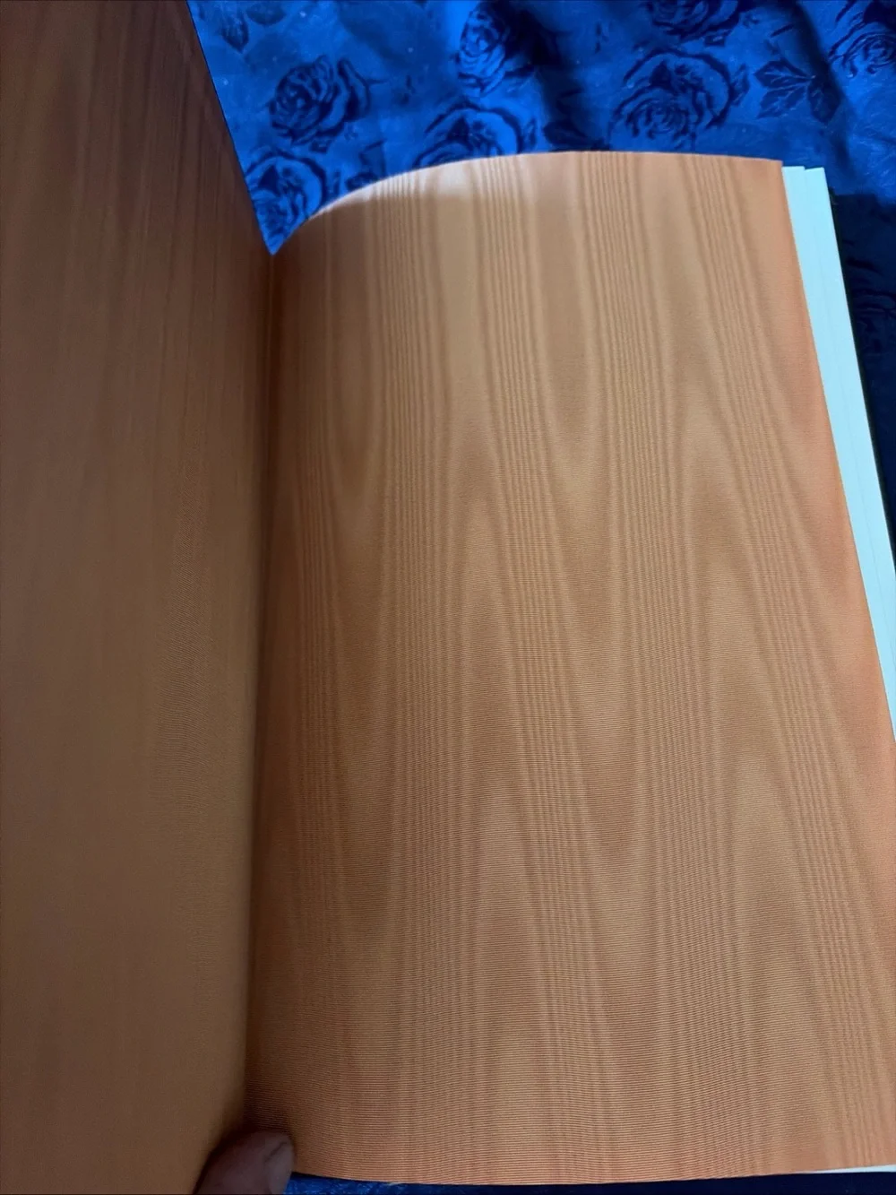 HEART OF DARKNESS Joseph Conrad 1980 EASTON PRESS Collector's Edition LEATHER